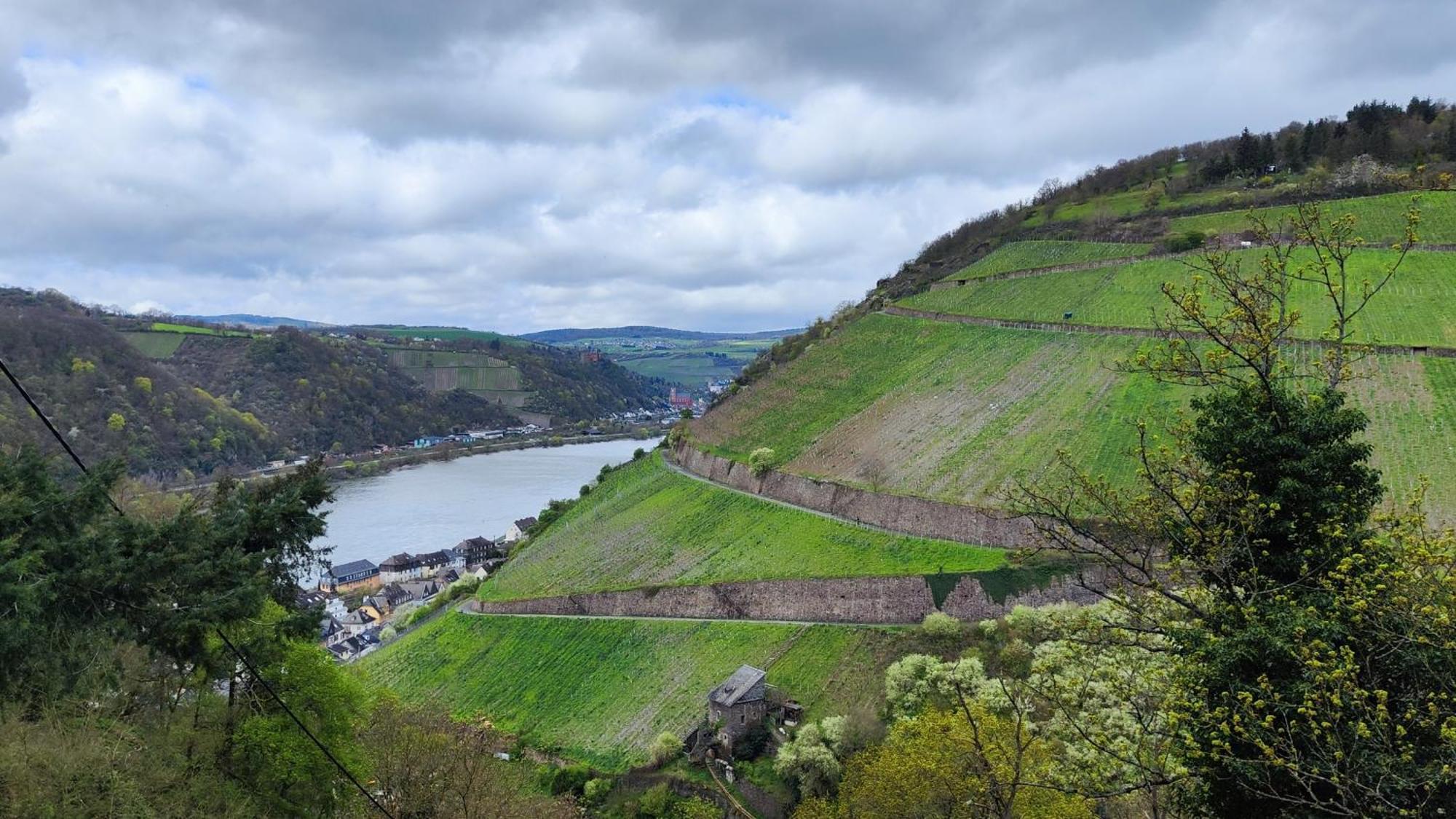 Direkt Am Rhein Mit Burgblick Nahe Rheinsteig Bis 8 Personen, 2 Baeder, 4 Zimmer, Kueche, Netflix Appartement Kaub Buitenkant foto