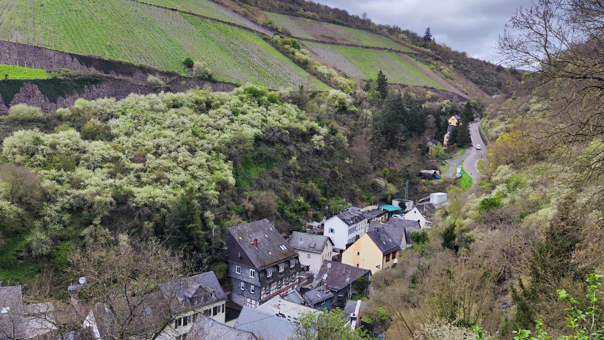 Direkt Am Rhein Mit Burgblick Nahe Rheinsteig Bis 8 Personen, 2 Baeder, 4 Zimmer, Kueche, Netflix Appartement Kaub Buitenkant foto